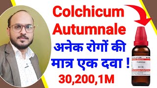 Colchicum Autumnale  Colchicum 30  200 Uses And benefits In Hindi  गठिया वात की होम्योपैथिक दवा [upl. by Otanod]