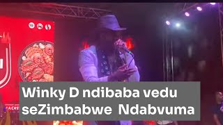 Winky D akapedzera Vanhu ku Castle Lager Braai 2024 Live perfomance [upl. by Elbag]