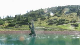 Waidring  Steinplatte Triassic Park Speicherteich [upl. by Maynard]