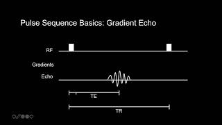 Introduction to MRI Basic Pulse Sequences TR TE T1 and T2 weighting [upl. by Bow]