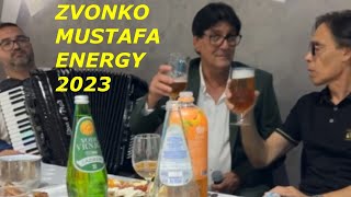 Zvonko Demirovic  Mustafa Sabanovic  Pedja Energy Bend [upl. by Ennaesor]