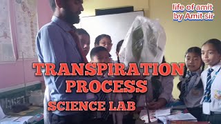 Transpiration full process in science lab😱😱youtube science scienceexperiment [upl. by Jorry]