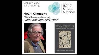 Noam Chomsky Language and Evolution [upl. by Vachell316]