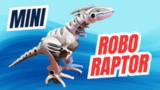 Let’s UNBOX this MINI ROBO RAPTOR Dinosaur Toy 10 Kmart Toy [upl. by Enrol]