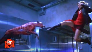 Resident Evil 2002  Zombie Dogs vs Alice Scene  Movieclips [upl. by Nwahsan]