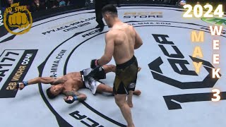 MMA amp Boxing Knockouts I May 2024 Week 3 [upl. by Eiuqnom]