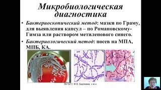 Возбудители бактериальных и вирусных инфекций Бадлеева МВ  5 лекция [upl. by Quinby]