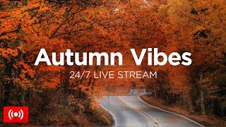 Autumn Vibes Mix 2024 🍂 247 Live Stream 🎃 Chill Fall Music to Calm Down by We Are Diamond [upl. by Odidnac]