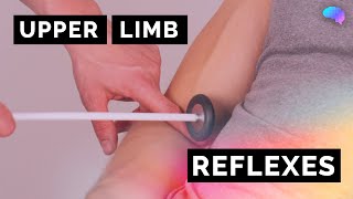 Reflexes of the Upper Limbs  OSCE Clip  UKMLA  CPSA [upl. by Zurn]