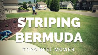 Striping Bermuda with Toro Reel Mower  2020 Episode 6 [upl. by Eirlav256]