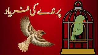 Parinday Ki Fariyad  Urdu Poem  Kids Poetry  Urdu Poetry  Allama Iqbal  Bang e Dara [upl. by Yllor114]