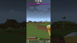 50 ravager vs me minecraft op [upl. by Akinihs975]