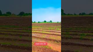 marathi farming shetkari agriculture [upl. by Deacon140]