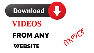 How to Download Any Video From Any Website On PC [upl. by Drauode]