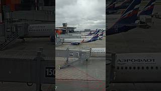 Airport Sheremetyevo  Sheremetyevo aeroporti Moscow airlines [upl. by Alrep]