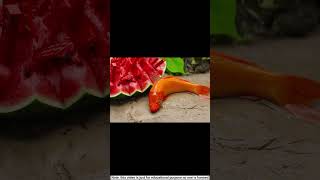 frog do farming and fish eat his watermelon shorts stopmotion [upl. by Asiole]