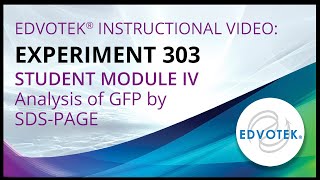 Edvotek Kit 303  Student Module IV  Analysis of GFP by SDSPAGE [upl. by Ebonee]