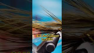 Minnow Bait Fish Fly Pattern flytying fishing [upl. by Rammaj146]