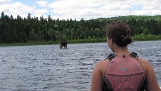 Canoeing Allagash amp Penobscot Rivers amp Hiking Mt Katahdin [upl. by Tacklind]