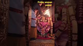 Friday 1 Nov 2024  Amman flower alakara poojai  अम्मान फूल सजावट पूजा  అమ్మన్ పుష్పాలంకరణ పూజ [upl. by Jenn]