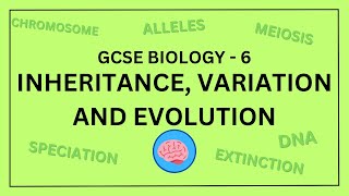 AQA GCSE Biology in 10 Minutes  Topic 6  Inheritance Variation and Evolution [upl. by Yliram]