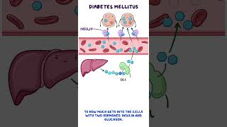 Clinical Cuts Diabetes mellitus [upl. by Nevear537]