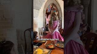 Is this the Best Character Dining at Disney World  Akershus Restaurant at Epcot Princess Meal [upl. by Alliuqet]