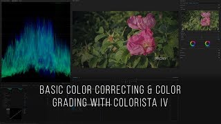 Tutorial How To Color Correct amp Color Grade Using Colorista IV on Canon 5D Mark IV 4K Footage [upl. by Dippold734]