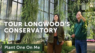 Longwood Gardens CONSERVATORY TOUR — Ep 308 [upl. by Ahseal]