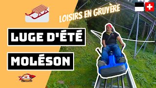 🇨🇭🛷 BOBLUGE DÉTÉ DU MOLÉSON TOBOGGAN DANS LA GRUYÈRE [upl. by Morie139]