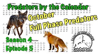 Predators by the Calendar EP 5 [upl. by Griselda577]