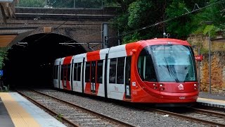 The Sydney Light Rail Central  Lilyfield [upl. by Acilegna273]