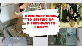 A beginners guide to setting up a freshwater sump [upl. by Rattan179]