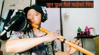 Jun fula maile chaheko thiye ।। jun fula maile chaheko thiye flute ।। Raj kirant ।। Narayan gopal [upl. by Theron]