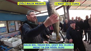 01032024 CUMA ÇİĞLİ BALIK MEZATINDA BALIK TA MÜŞTERİ DE ÇOK FAZLAYDI [upl. by Milan695]