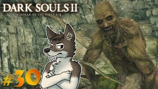 DARK SOULS 2 Lets Play Part 30 Blind  SHADED WOODS  DARK SOULS 2 SOTFS [upl. by Sindee903]