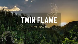 Twin Flame Tarot Reading  Past  Present  Future  Their triggered inner child runs [upl. by Edmund389]