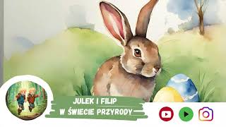 7 Wielkanocny zając  Audiobajka dla dzieci  Przyrodnicze Audiobajki [upl. by Acinomaj213]