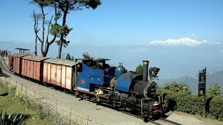 India 2016  Freight train on the Darjeeling Railway [upl. by Pitt]