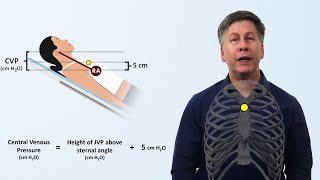 Hemodynamics [upl. by Elisa]