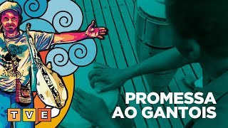 PROMESSA AO GANTOIS  OCanalDoCarnaval [upl. by Odranar]