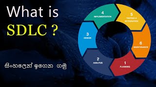 SDLC Software Development Life Cycle in Sinhala  AL ICT Undergraduate CS SE IT [upl. by Anneuq980]