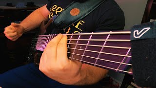 Luminary  Tesseract Cover  Bass Progression 641 Hours [upl. by Mosi]