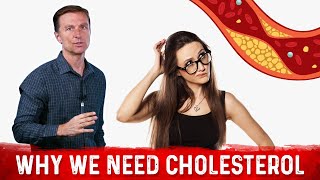 Why Cholesterol is so Biologically Important – Cholesterol Function – DrBerg [upl. by Lesko]