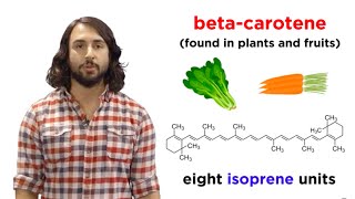 Lipids Part 1 TAGs Fatty Acids and Terpenes [upl. by Calv]