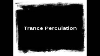 DJ Pleasurehead  Trance Perculation Side A [upl. by Spector164]