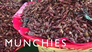 La Guía Munchies de Oaxaca  Parte 2 [upl. by Assile]