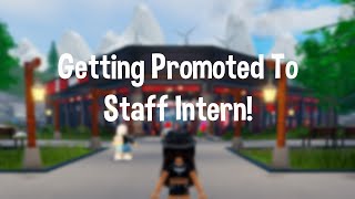 Getting Promoted To Staff Intern At Bambou Roblox [upl. by Rutan]