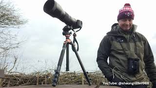 North Cave Wetlands YWT and Blacktoft Sands RSPB  Jan 24 [upl. by Welcher]