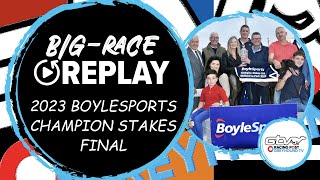 2023 Boylesports Champion Stakes  Trinity Junior  Greyhound Replays  Ireland  2023 Big Finals [upl. by Anthony]